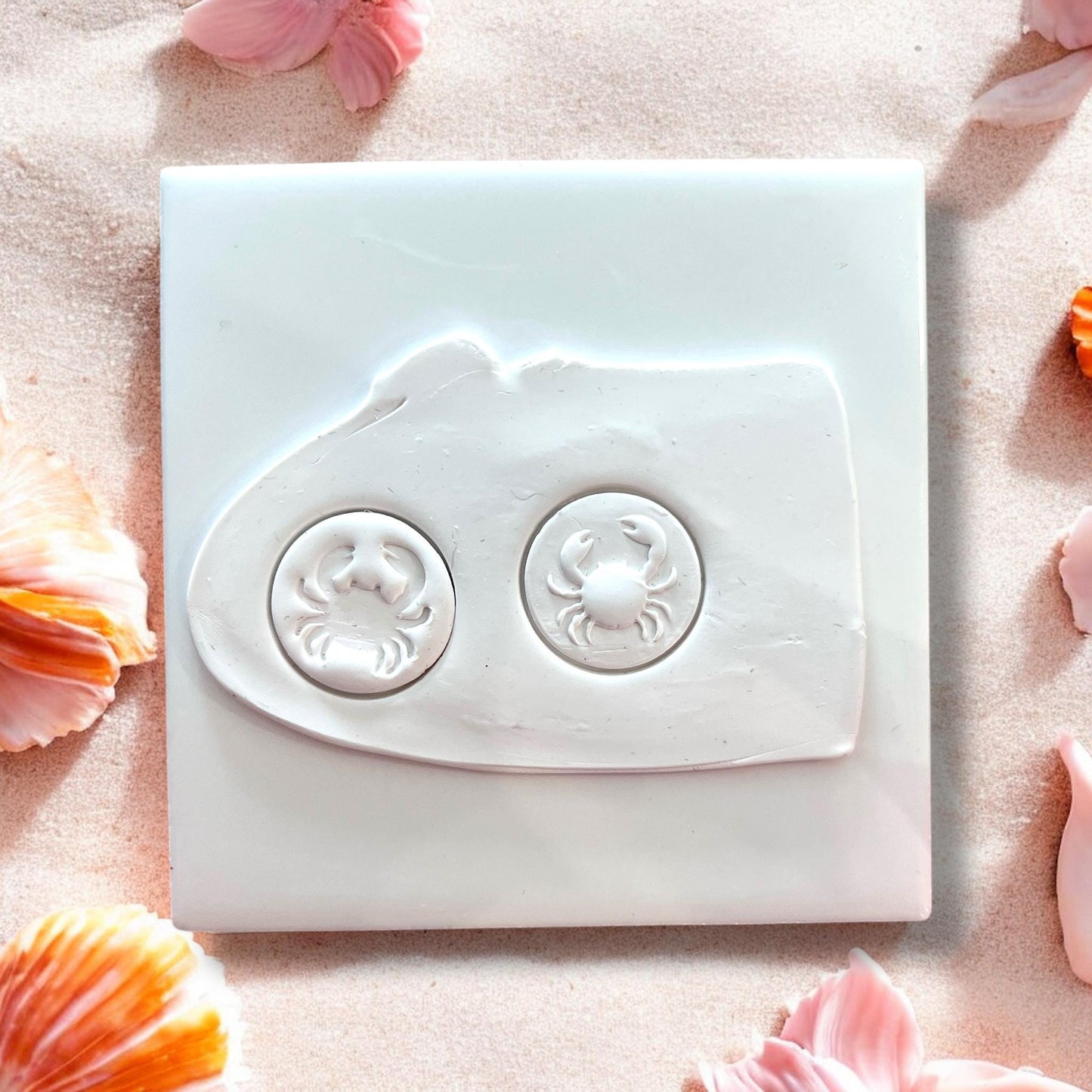 Two crab impressions in white clay showing round crab stud designs