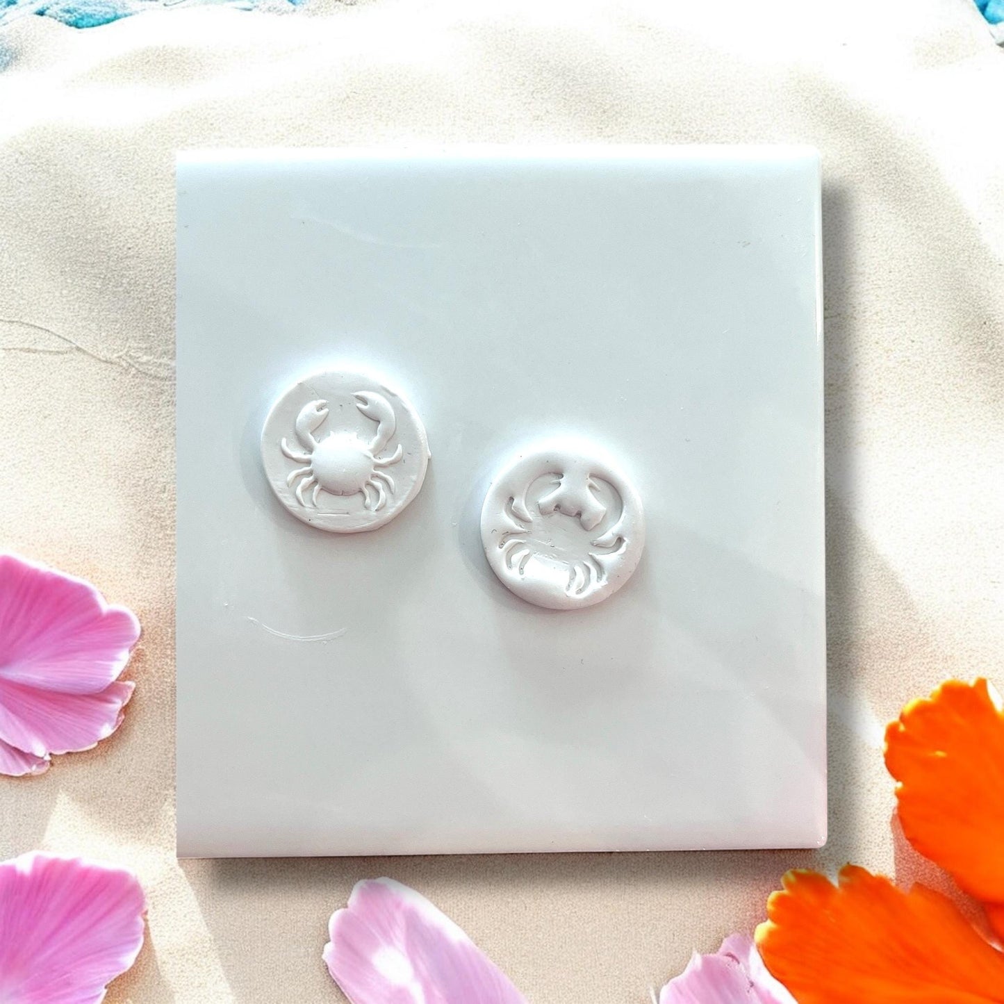 Close-up view of white crab studs surrounded by seashells