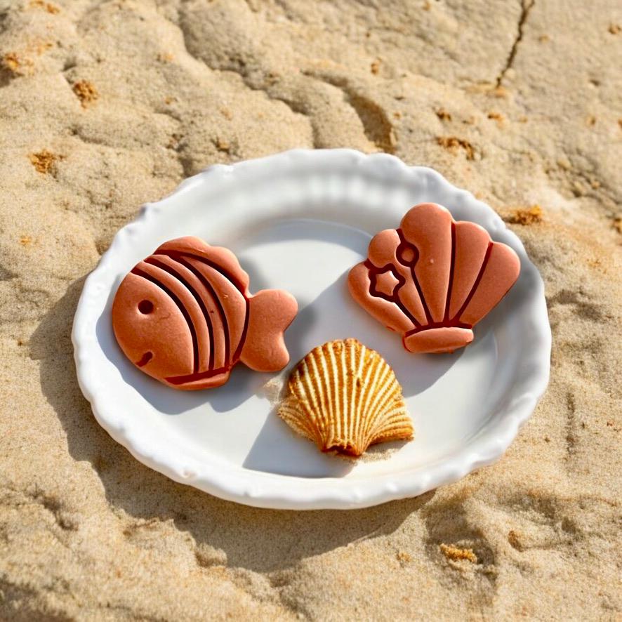 Polymer clay fish and seashell charms displayed on a white plate with a real seashell, set on beach sand for a coastal vibe.