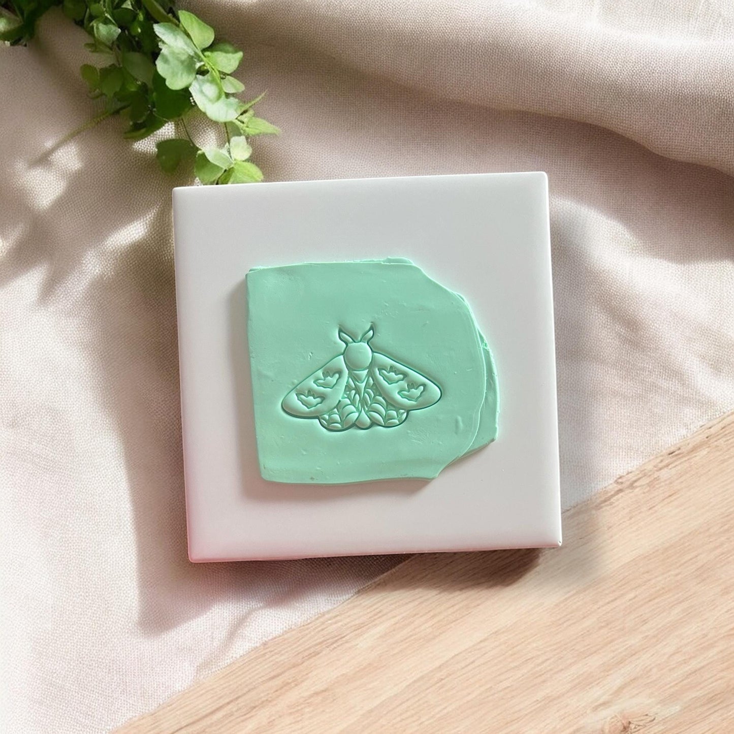 Mint green clay slab with an impression of a moth featuring bats on its wings.