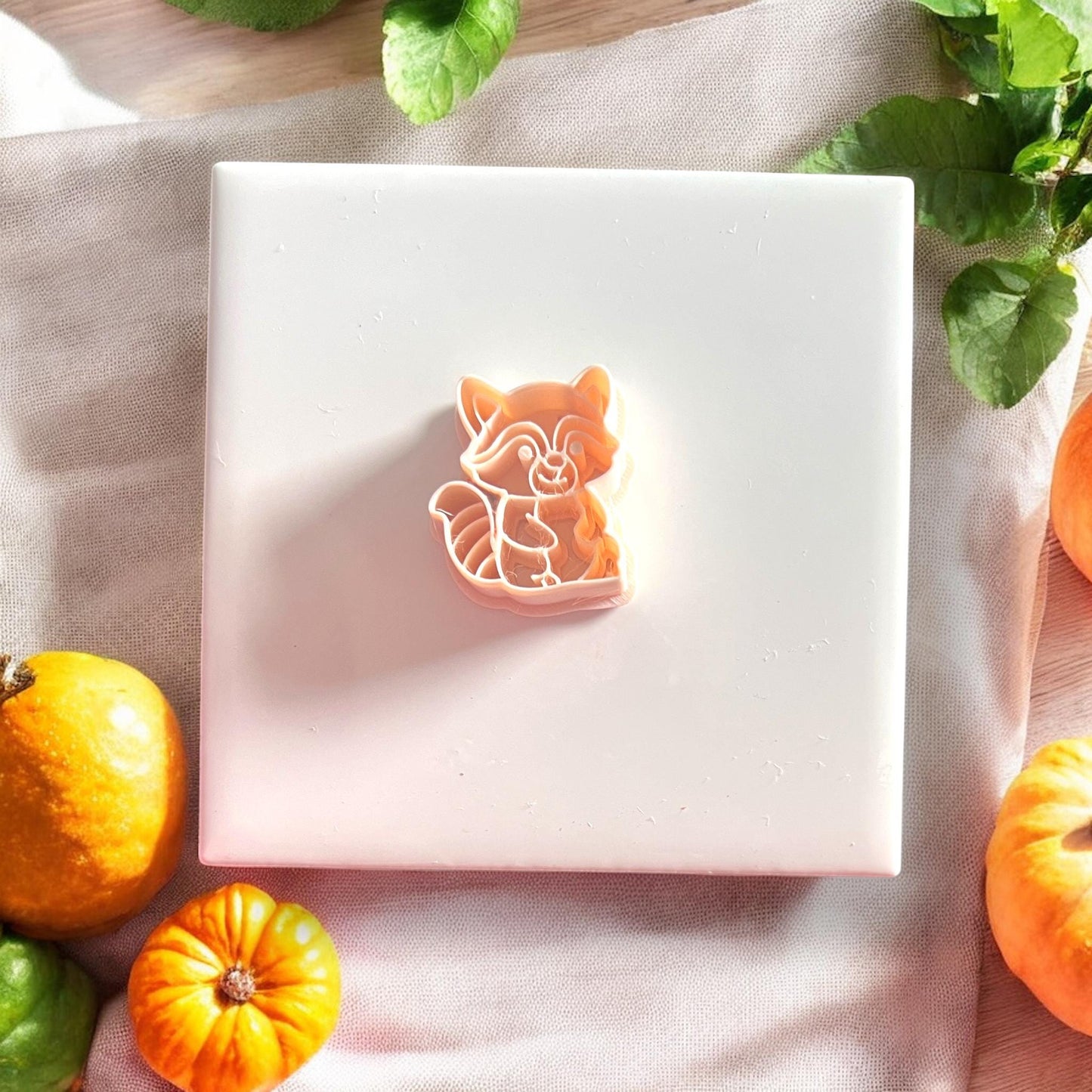 Orange raccoon polymer clay cutter placed on white display surface with pumpkins