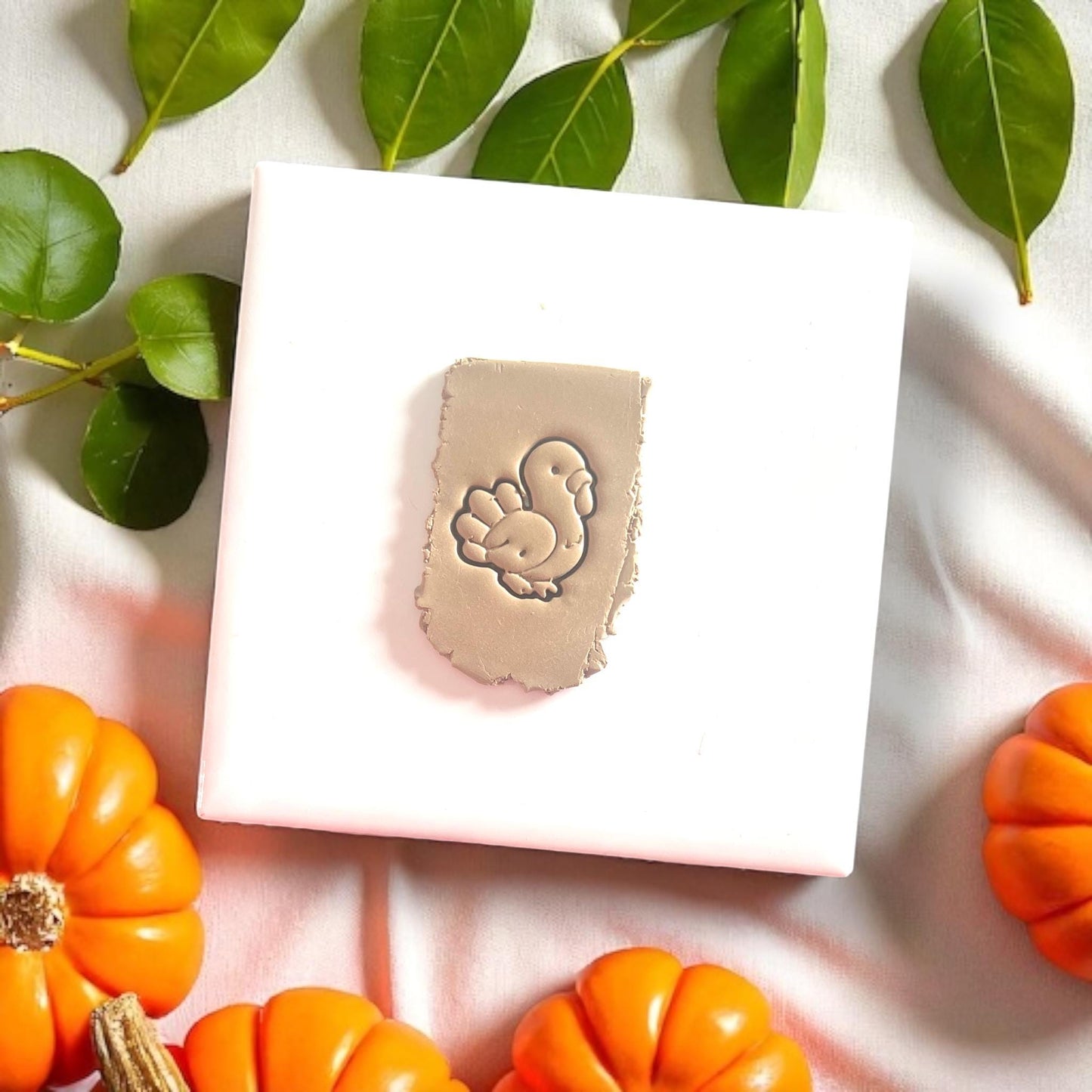 baby turkey clay impression
