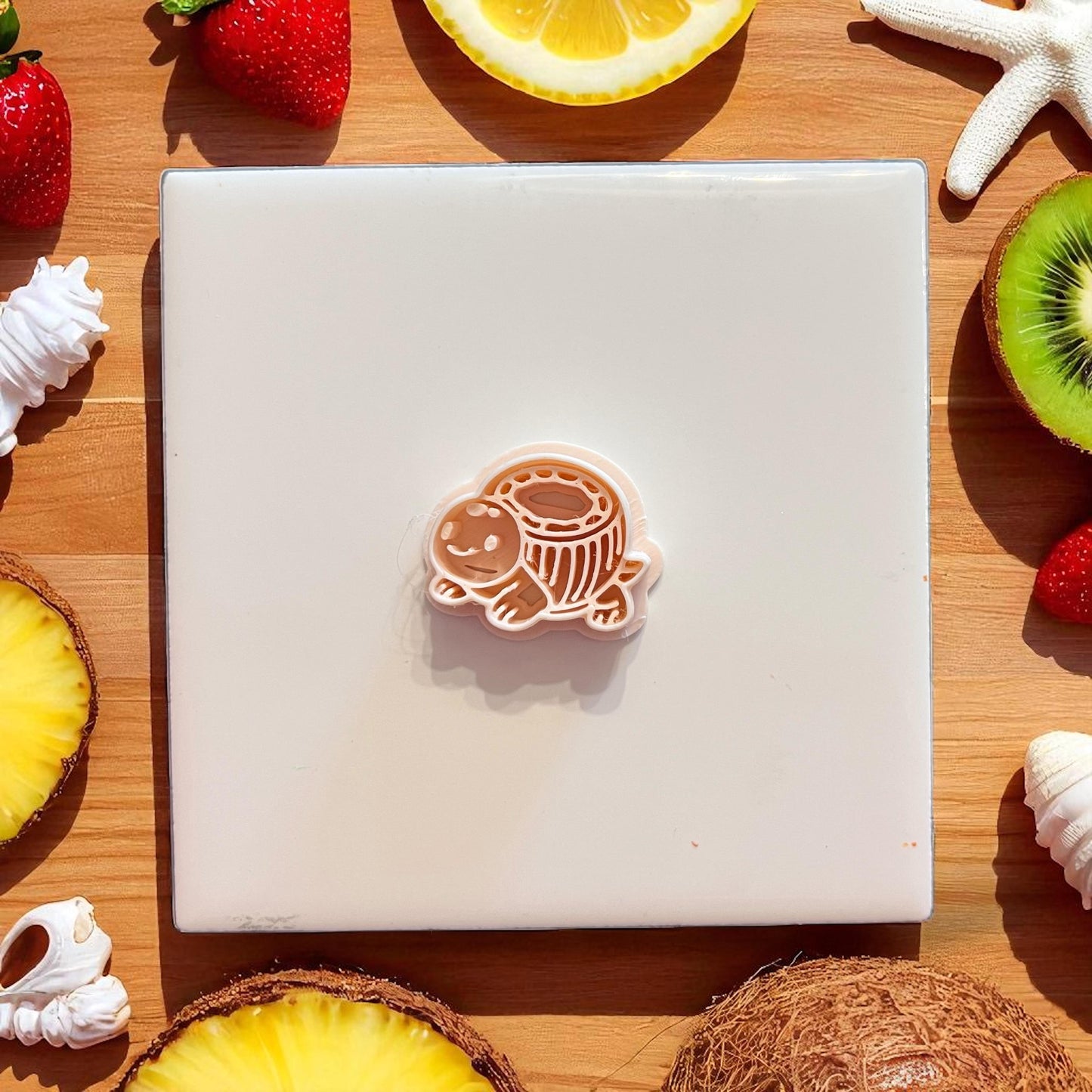 Cutter only image of tropical coconut turtle with detailed shell design