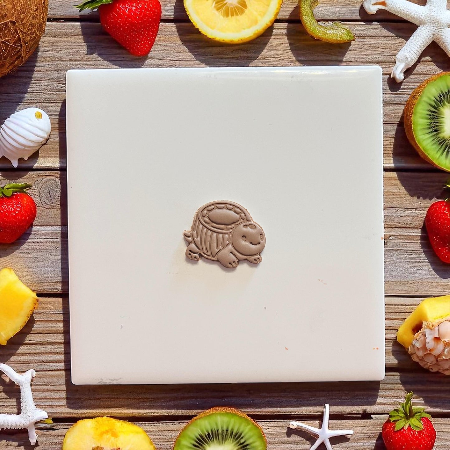 Close-up of tropical turtle imprint on white background with summer fruit