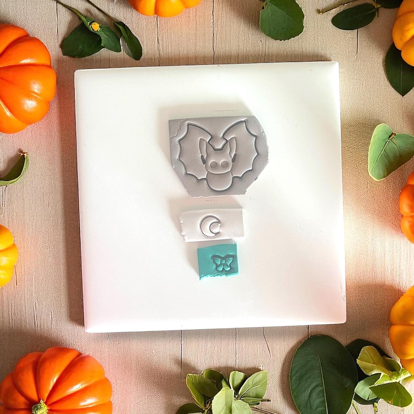 Photo of bat clay impression with crescent moon and butterfly details