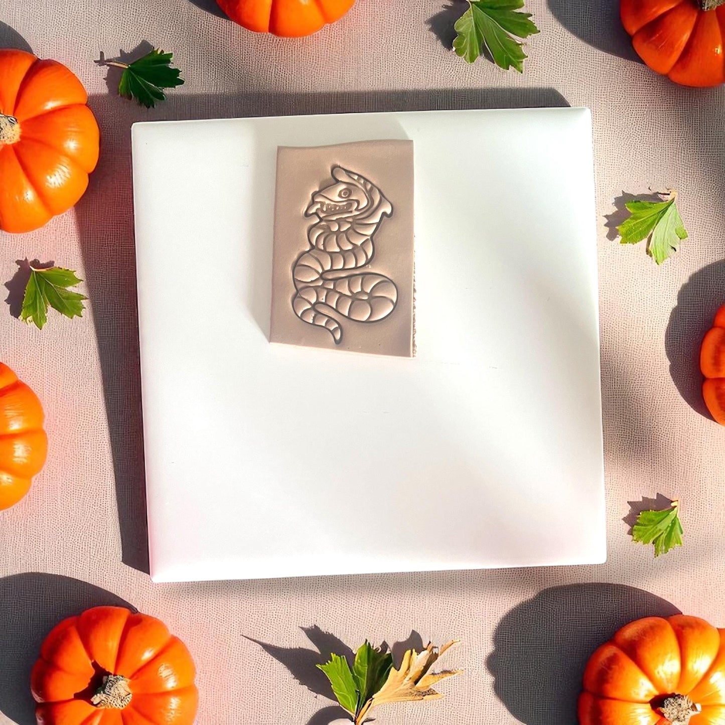 Sand snake clay impression on white tray