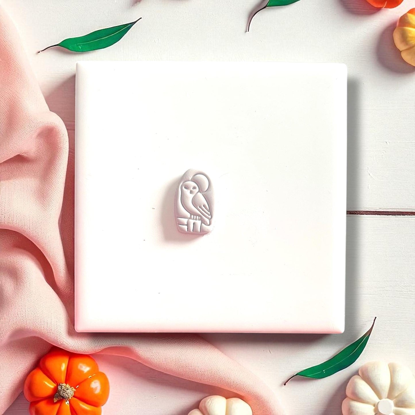 cute owl with moon design on clay