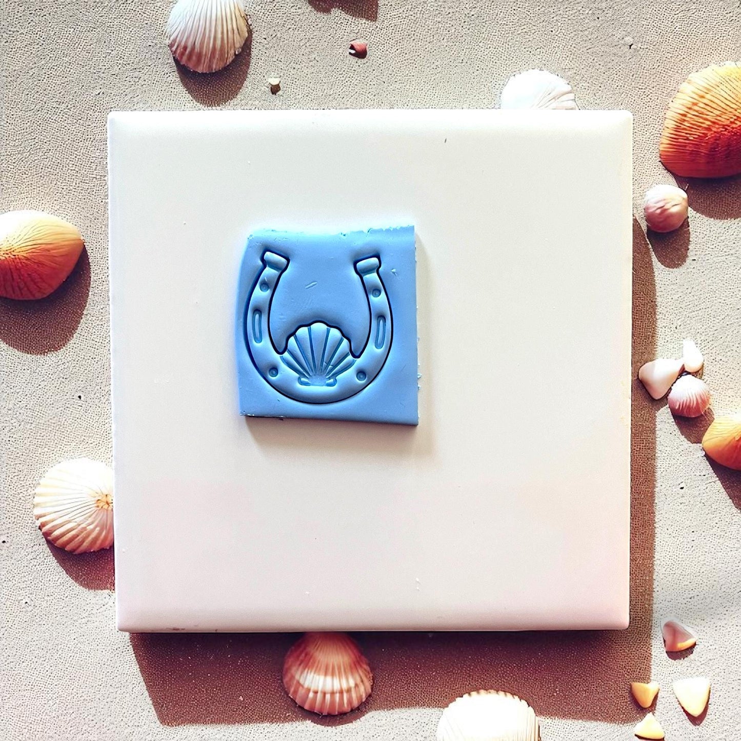 Blue clay horseshoe seashell impression on white tile with seashells around