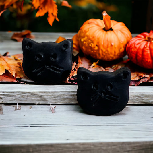 Pair of black cat-shaped earring studs resting on a wooden surface, surrounded by autumn leaves and orange pumpkins in the festive background.