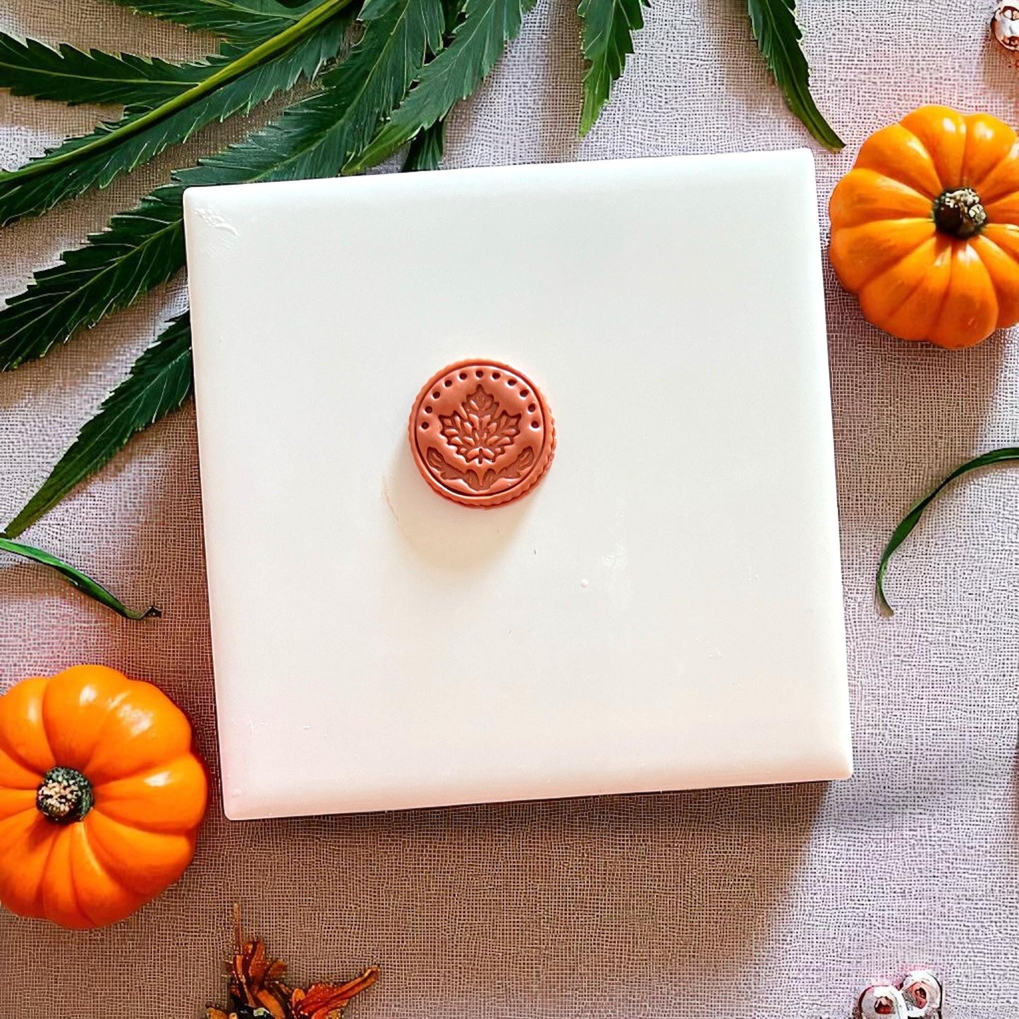 Close-up of finished maple medallion stud on white tile