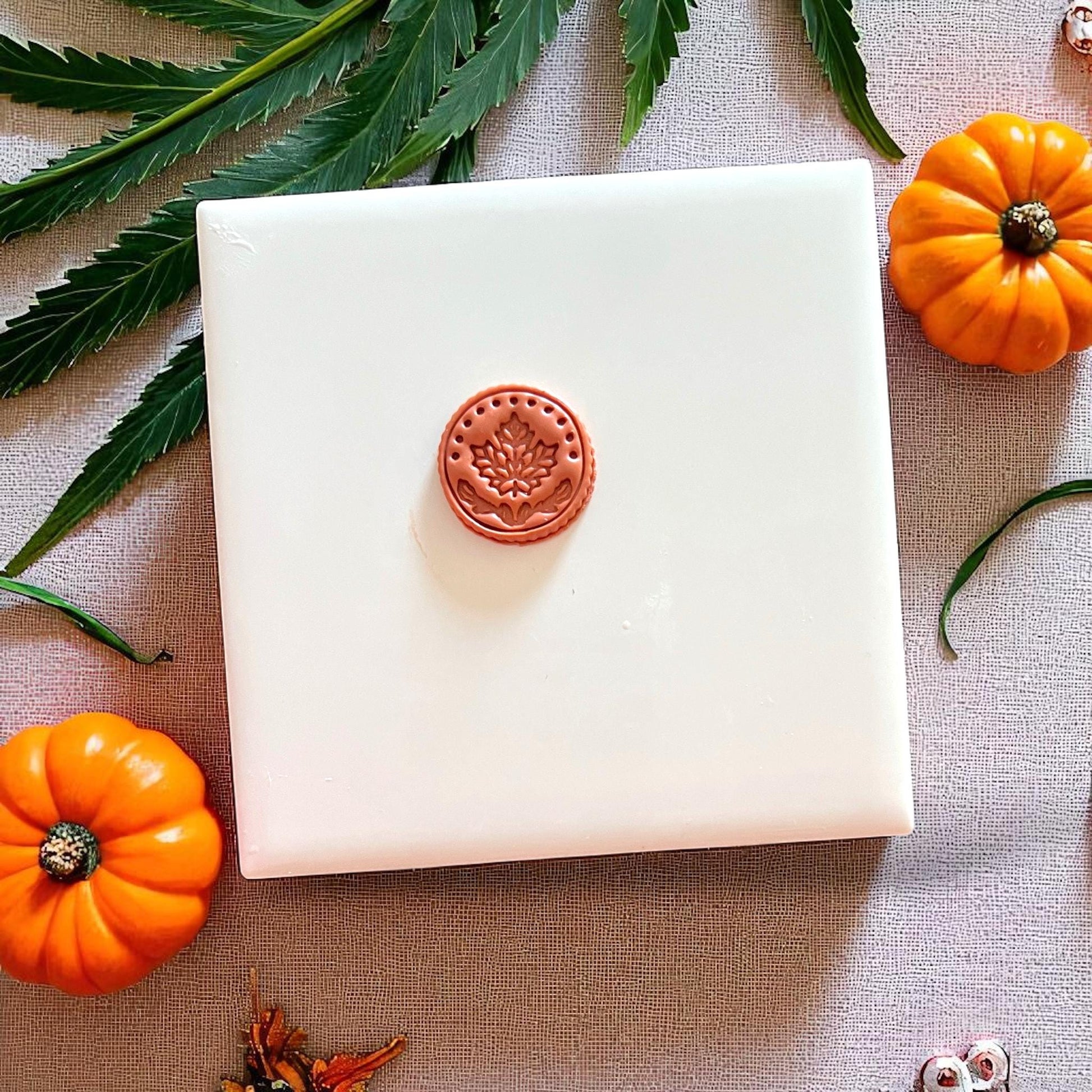 Close-up of finished maple medallion stud on white tile