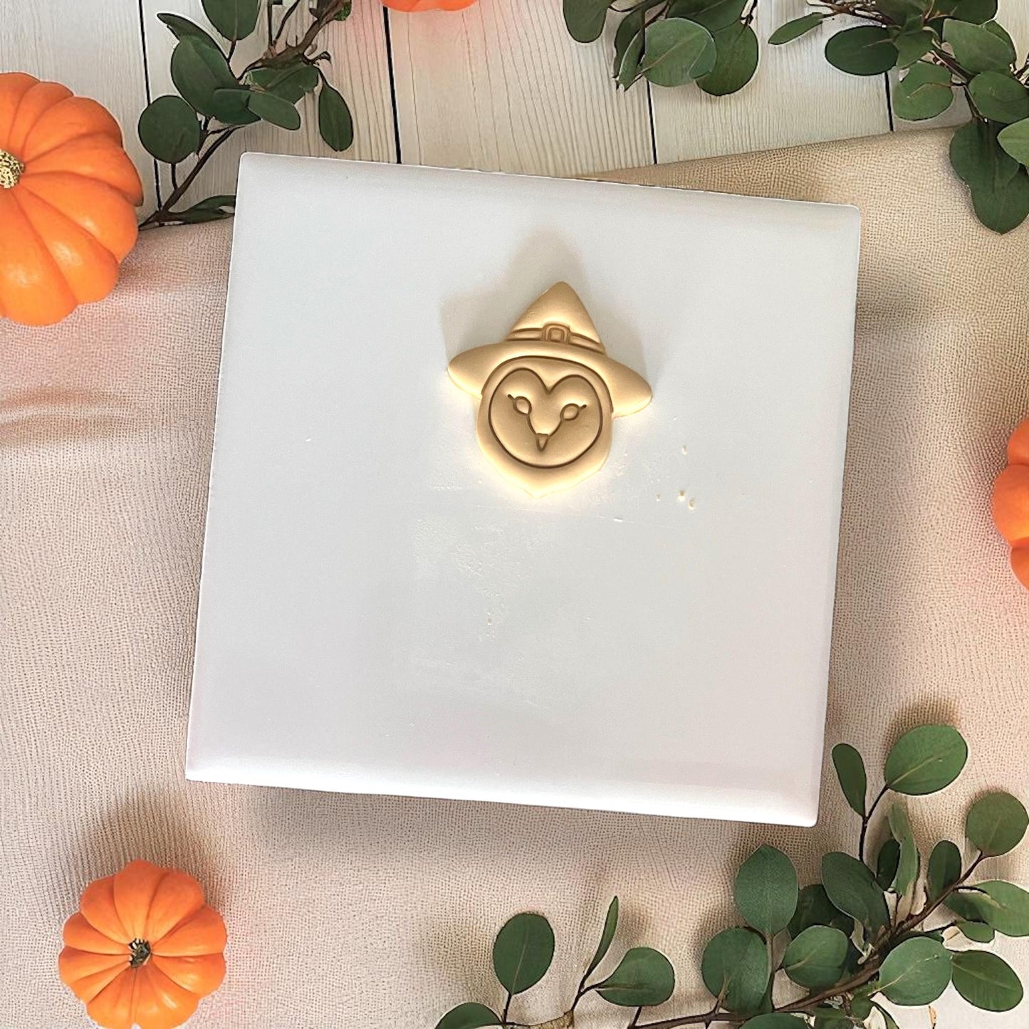 Owl in witch hat clay cutter with golden clay piece