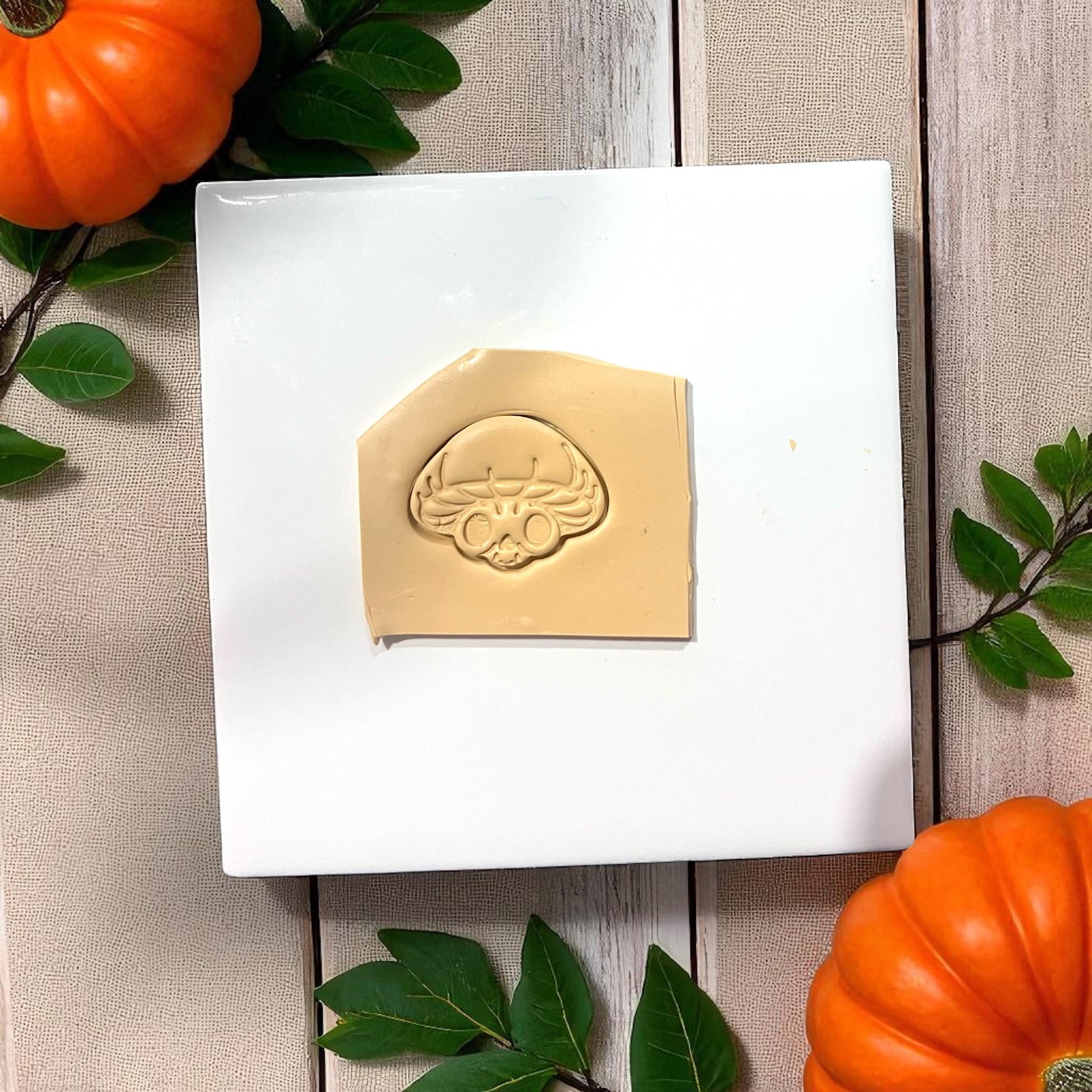 Mushroom skull impression in clay slab with pumpkins and leaves
