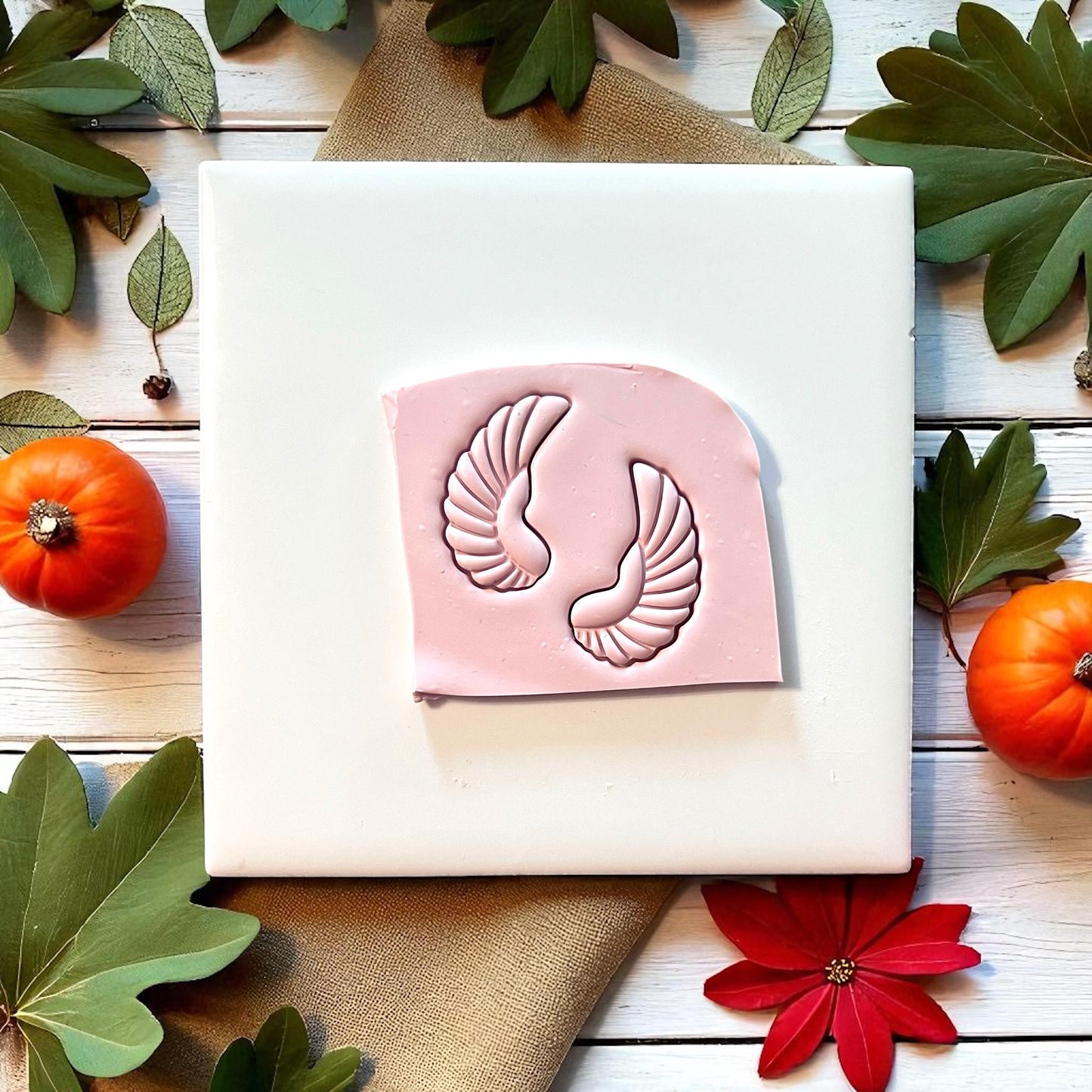 Pink clay slab with scarab wing impressions surrounded by pumpkins and leaves