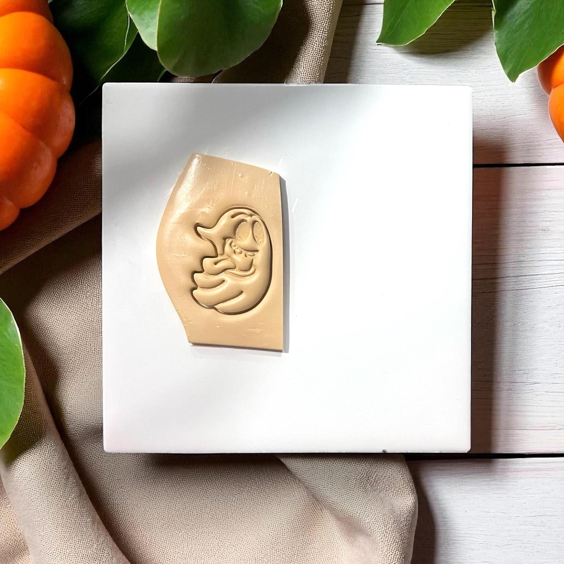 Ghost impression with tongue sticking out on brown clay slab