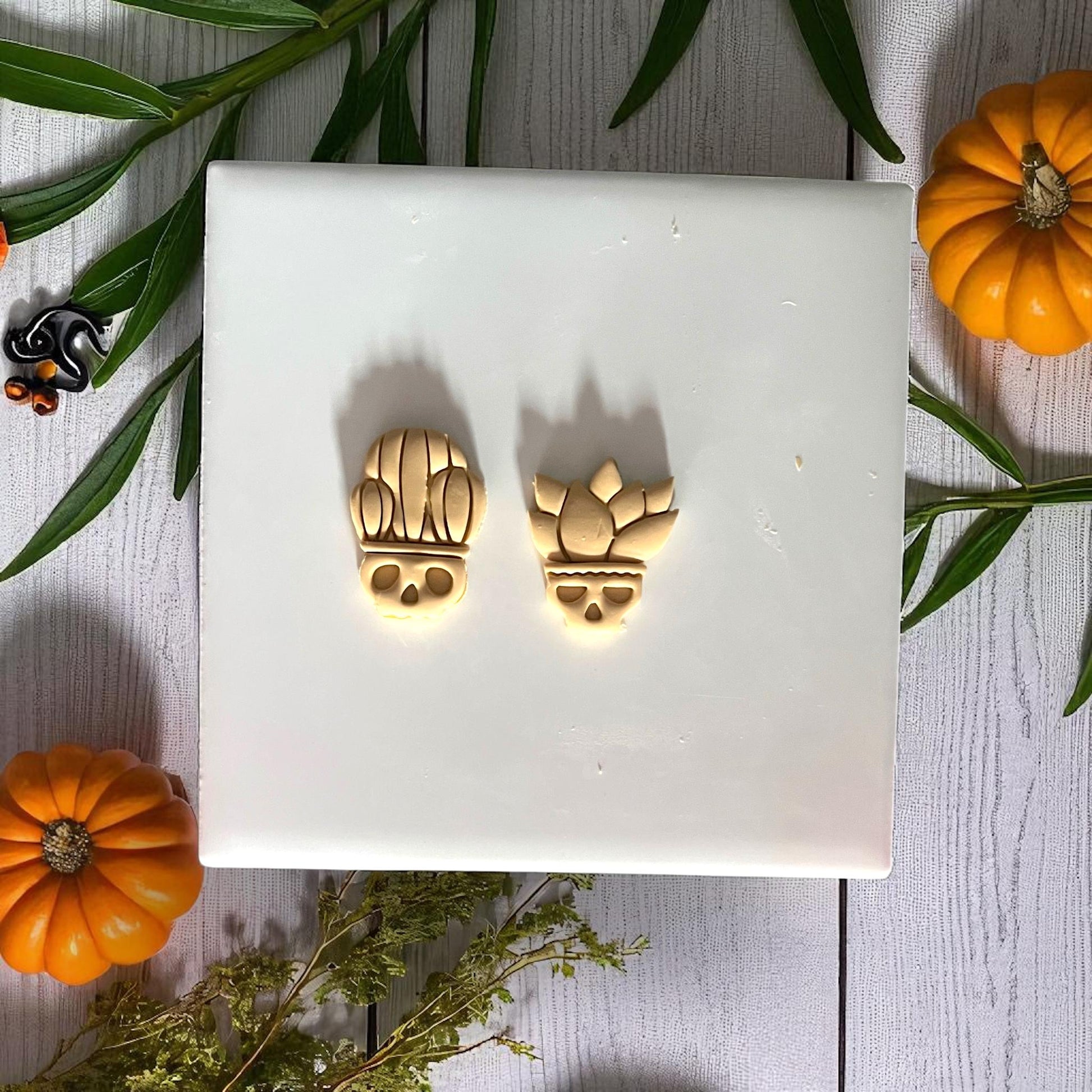 Skull planter cactus and succulent clay pieces on wooden plate