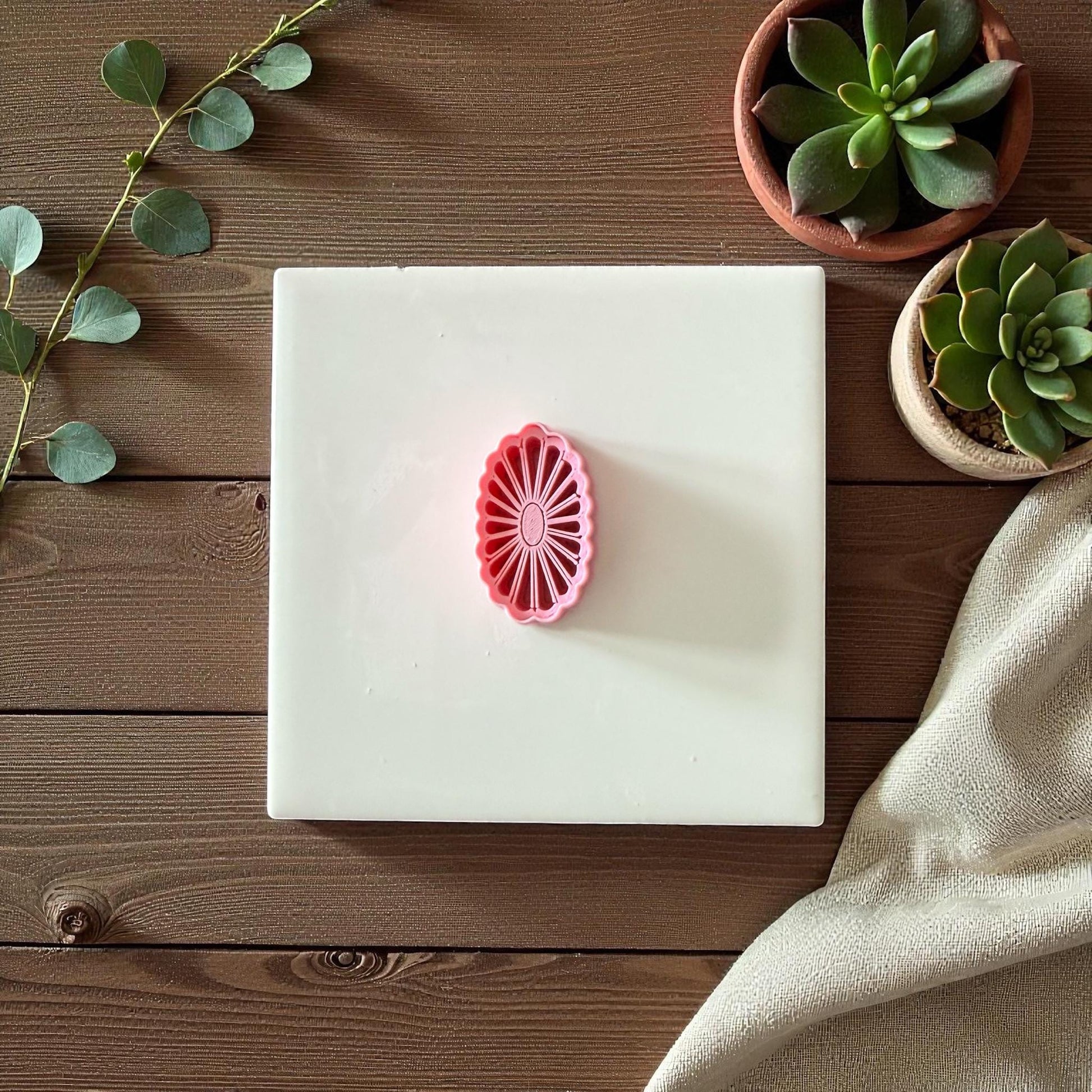 Oval daisy frame clay cutter centered on white tile with succulents and neutral background