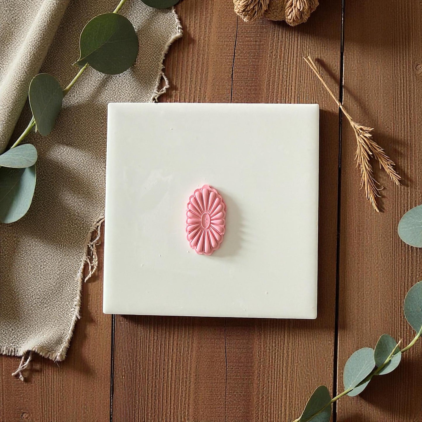 Oval daisy frame clay cutter centered on white tile with succulents and neutral background