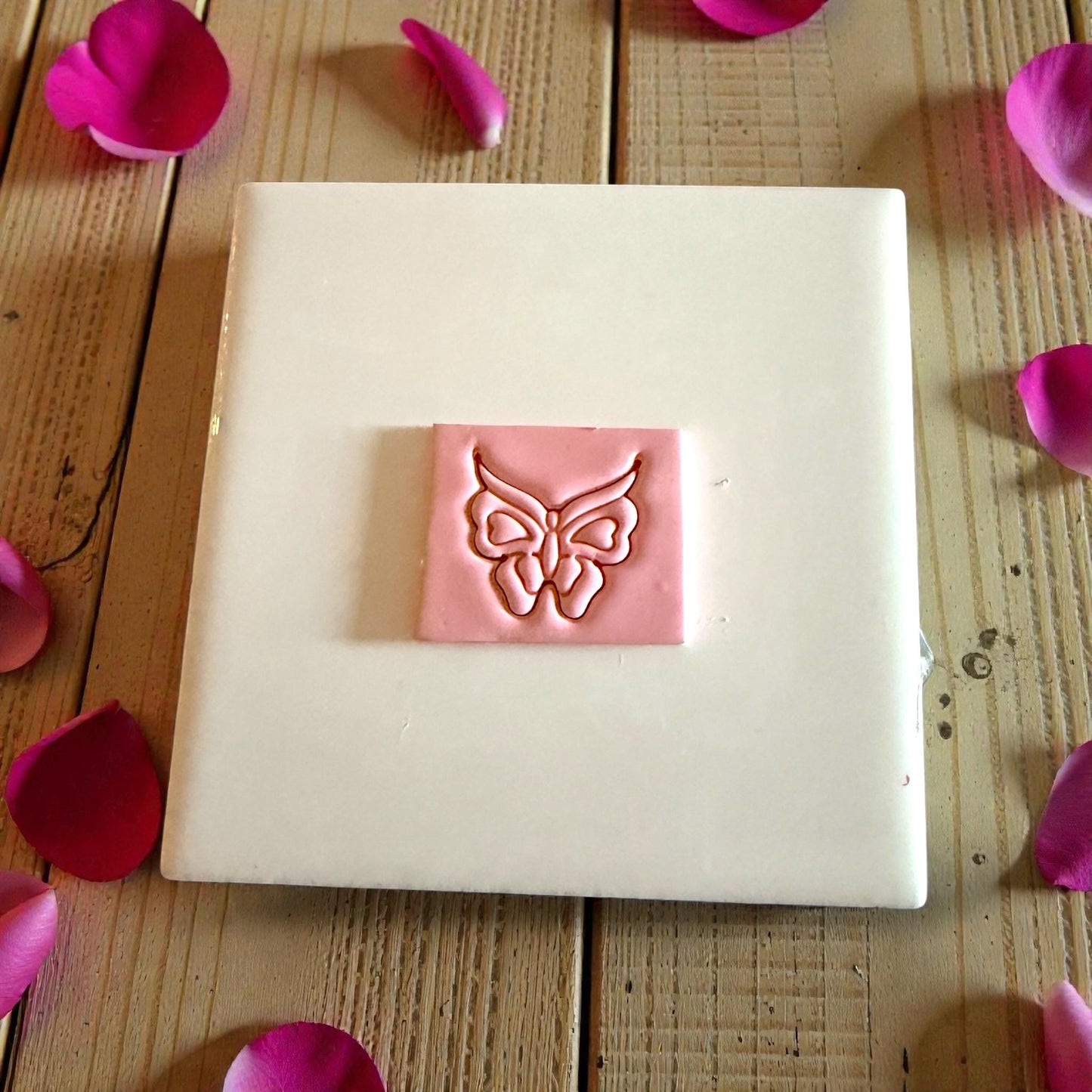 small butterfly clay impression on pink slab