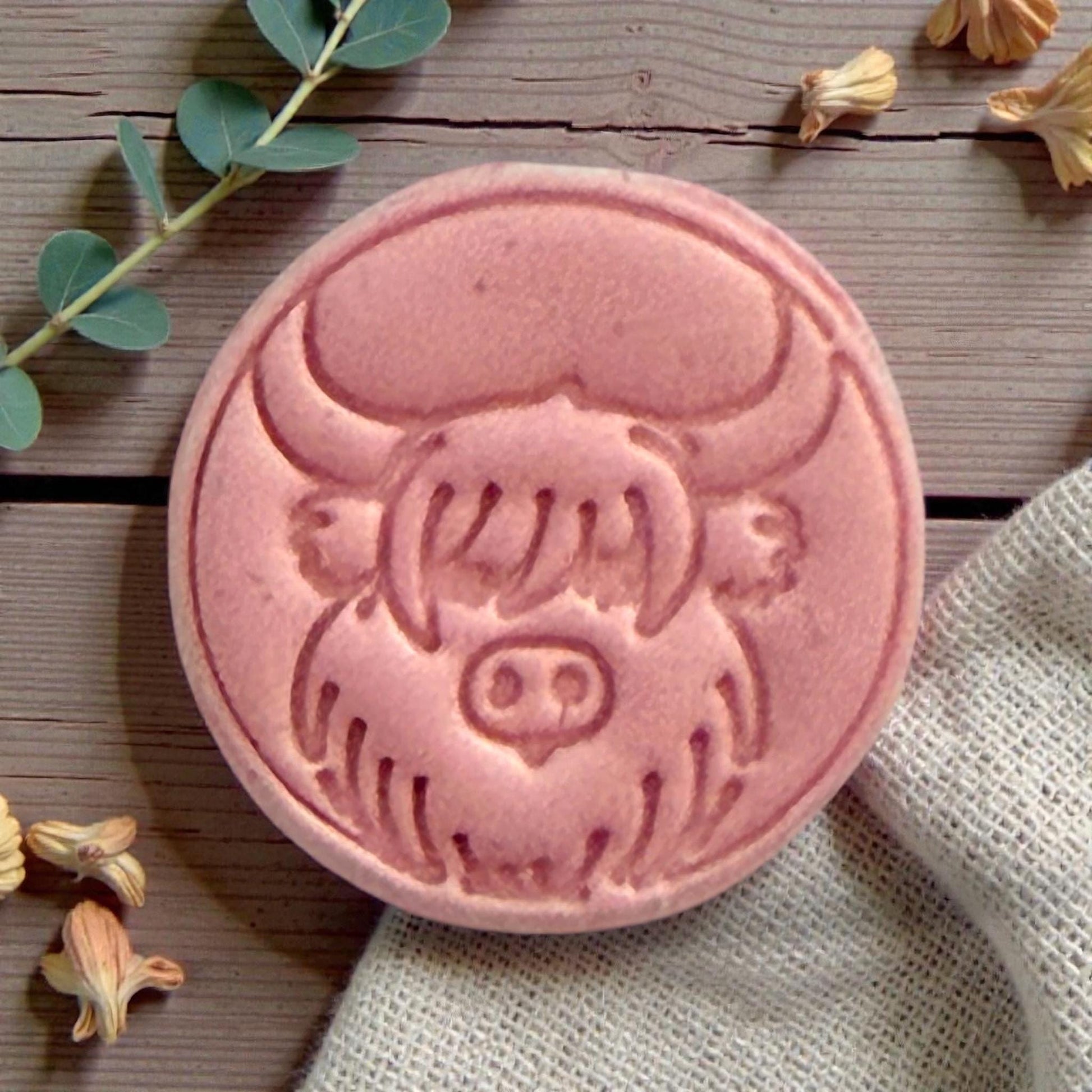 closeup of highland cow clay impression