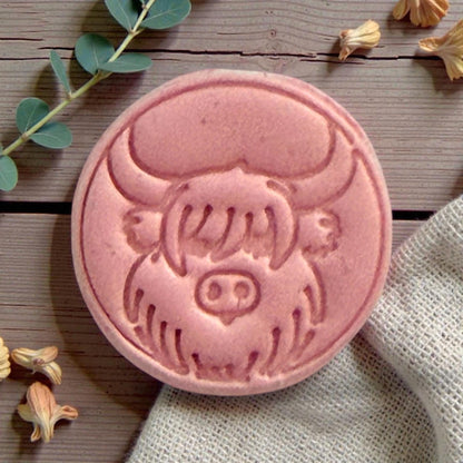 closeup of highland cow clay impression