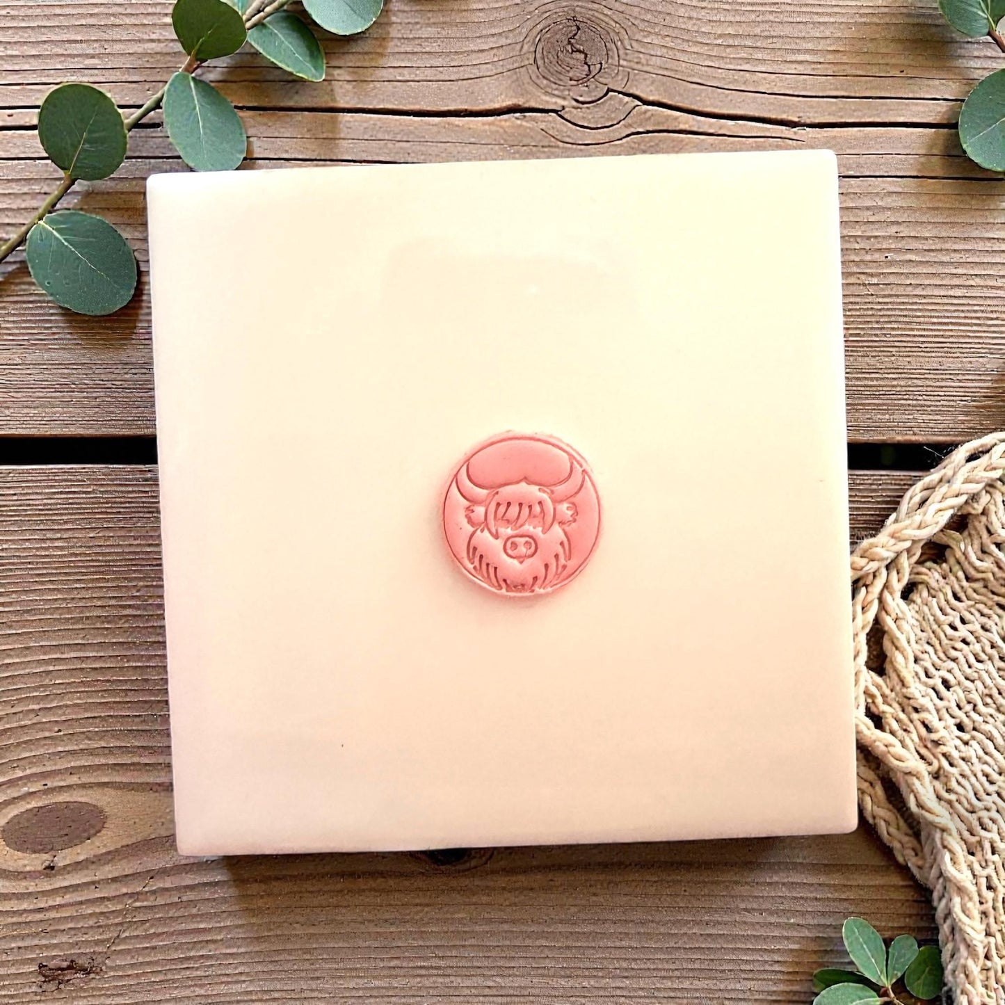 closeup of highland cow clay impression